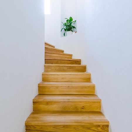 Villa Roma Dubrovnik Dış mekan fotoğraf